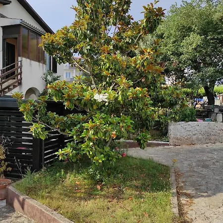 Guesthouse Suzy Guest house