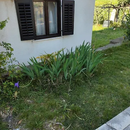 Guesthouse Suzy Pula