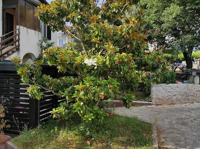 Guesthouse Suzy Hotel