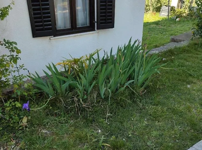 Guesthouse Suzy Pula